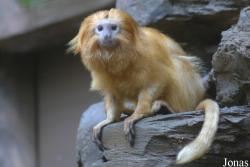 Zoo Landau in der Pfalz