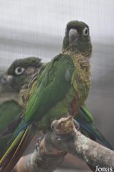 Vogelpark Biebesheim