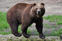 Tierpark Hagenbeck