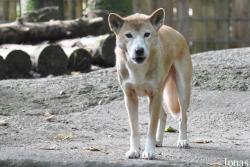 Tierpark Neumünster