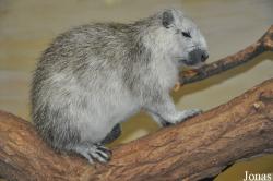 Zoologischer Garten Rostock