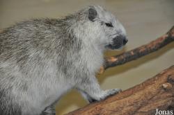 Zoologischer Garten Rostock
