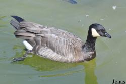 Erlebnis-Zoo Hannover