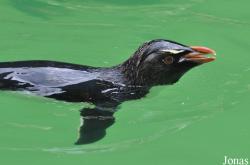 Erlebnis-Zoo Hannover