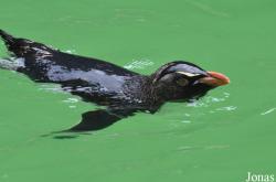 Erlebnis-Zoo Hannover