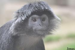 Erlebnis-Zoo Hannover
