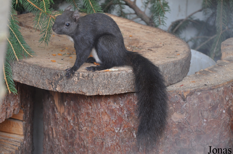 Zoo am Rammelsberg