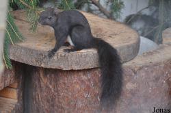 Zoo am Rammelsberg