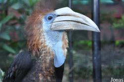 Hong Kong Zoological and Botanical Gardens