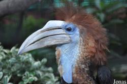 Hong Kong Zoological and Botanical Gardens