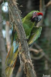 Zoo des Sables d'Olonne