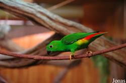 Zoo des Sables d'Olonne