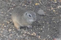 Parc Zoologique Fort Mardyck Dunkerque Grand Littoral