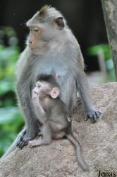 Chonburi