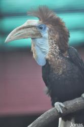 Hong Kong Zoological and Botanical Gardens