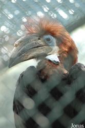 Raritätenzoo Ebbs