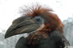 Raritätenzoo Ebbs