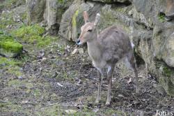 Opel-Zoo