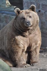 Zoo Stralsund