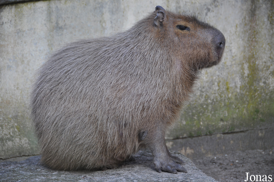 Zoo Stralsund