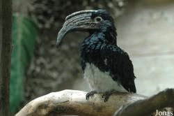 Zoologischer Garten Augsburg