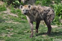 Zoo Osnabrück
