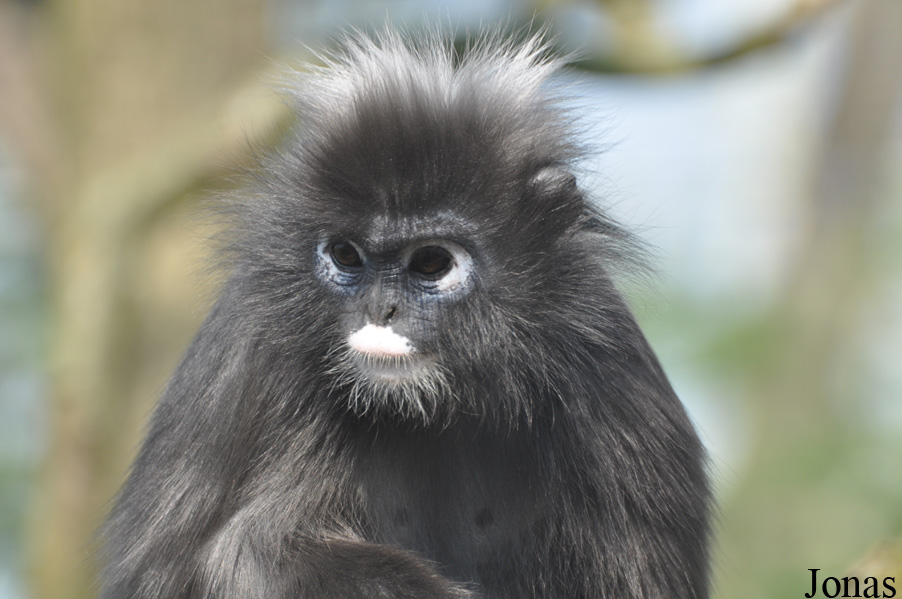 Burgers' Zoo