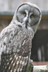 Tierpark Perleberg
