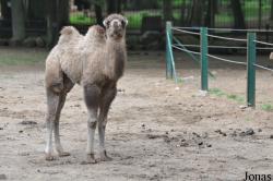 Tierpark Perleberg