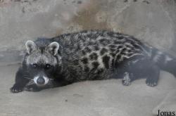 Kumasi Zoo
