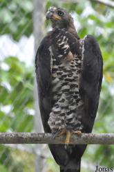 Kumasi Zoo