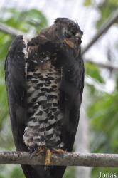 Kumasi Zoo