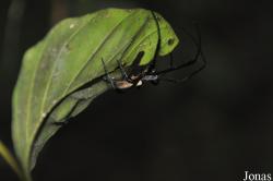 Owabi Wildlife Sanctuary