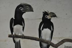 Le Jardin aux Oiseaux/Zoo d'Upie