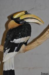 Le Jardin aux Oiseaux/Zoo d'Upie