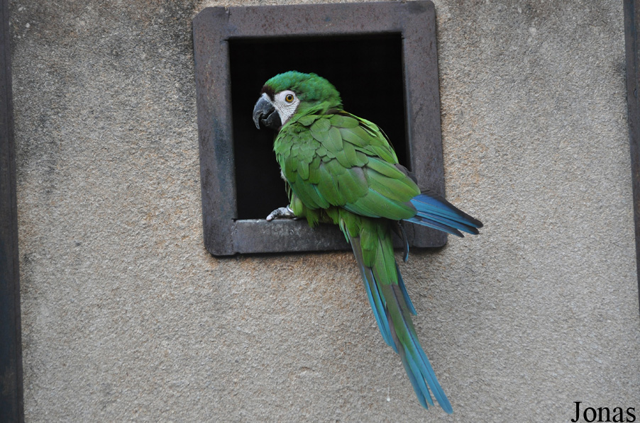 Le Jardin aux Oiseaux/Zoo d'Upie