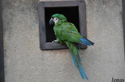 Le Jardin aux Oiseaux/Zoo d'Upie
