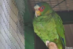 Le Jardin aux Oiseaux/Zoo d'Upie