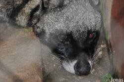 Kumasi Zoo