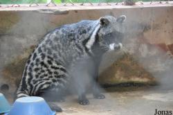 Kumasi Zoo