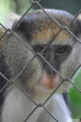 Kumasi Zoo