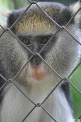 Kumasi Zoo
