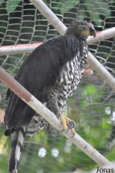 Kumasi Zoo