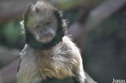 Colchester Zoo