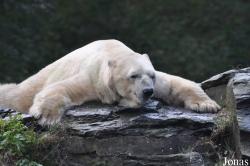 Tierpark Berlin