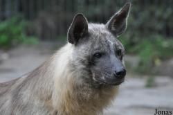 Tierpark Berlin