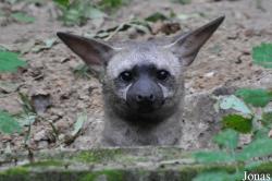 Tierpark Berlin