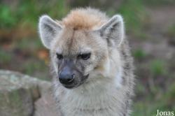 Tierpark Berlin