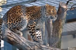 Tierpark Berlin