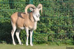 Tierpark Berlin